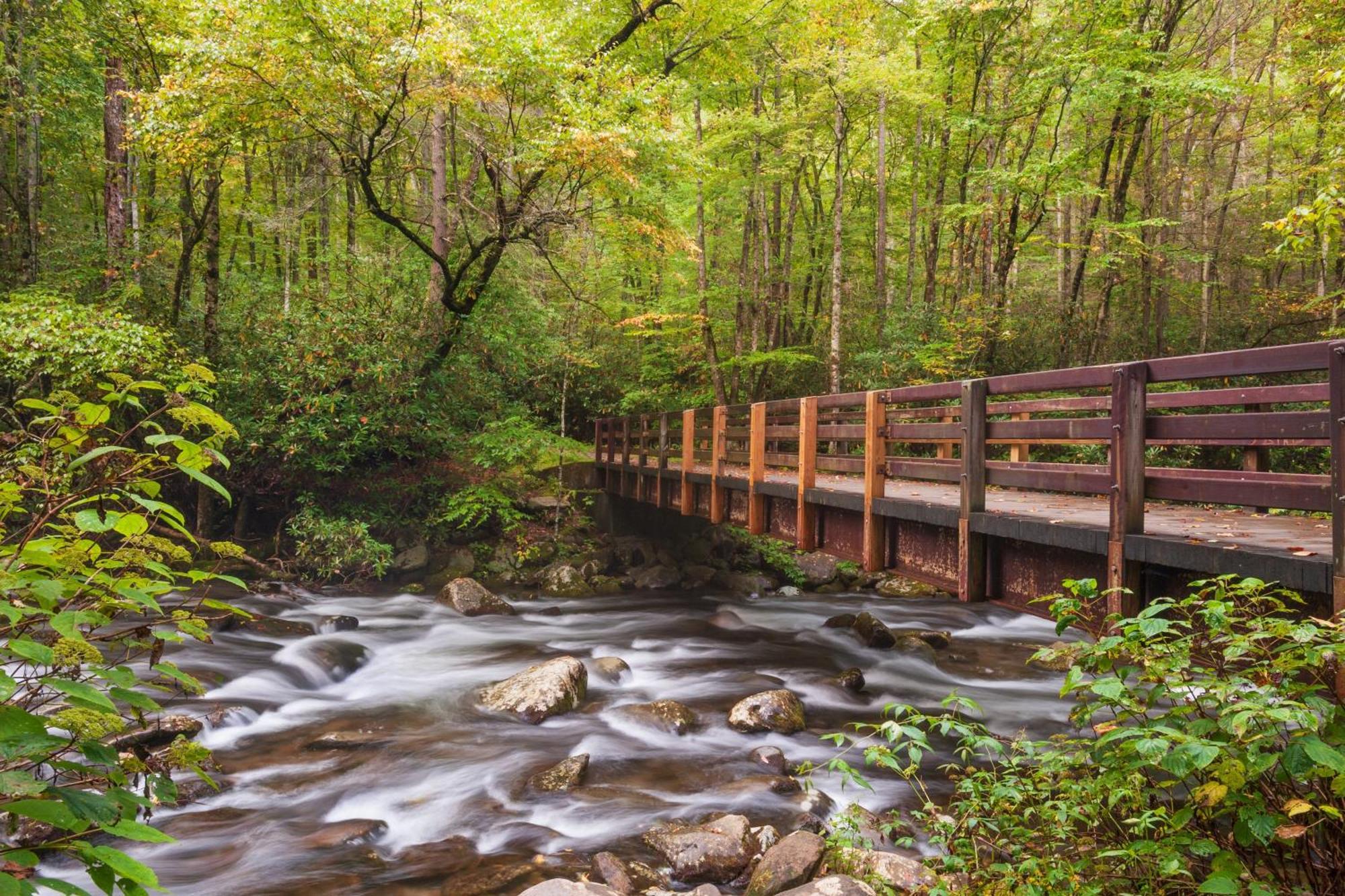 Majestic View Lodge, Amazing Views, Hot Tub, 1089 Free Tickets Each Paid Day, Dollywood And More Gatlinburg Exteriér fotografie